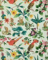 Paradiso Isle Pink Peppercorn by   