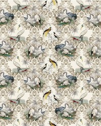 Audubon Fantasy Golden Oak by   