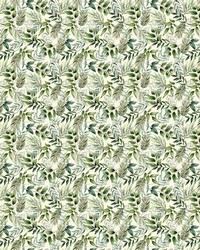 Botanical Garden Meadow by   