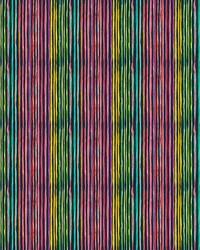 Caribe Stripe Fireworks by   
