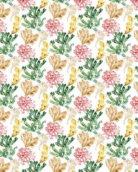 Coral Cay Coral Reef by   