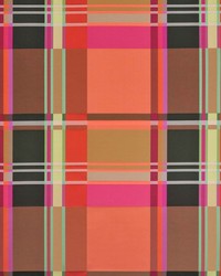 Technicolor Plaid Coral Reef by   