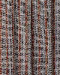 Nantucket Island Coral Reef by   