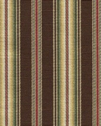 Waterton Stripe Chocolate by   