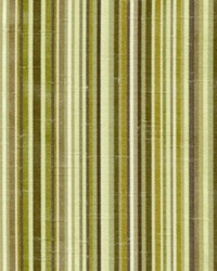 Cardell Stripe Grassland by   