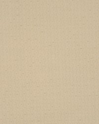 2049cb Champagne by  RM Coco 