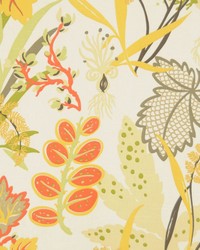 2127cb Seaweed by  RM Coco 