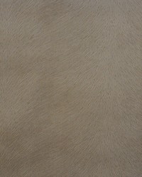 2246cb Taupe by  RM Coco 