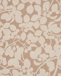 2273cb Chinchilla by  RM Coco 