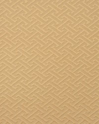 2365cb Tahini by  RM Coco 