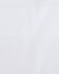 Flame Trol White/white by   