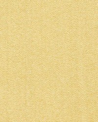 Neopolitan Camel by  RM Coco 