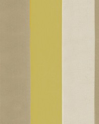 Genoa Stripe Goldenrod by   