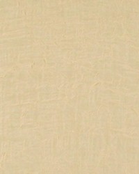 Cortina Nut by  RM Coco 