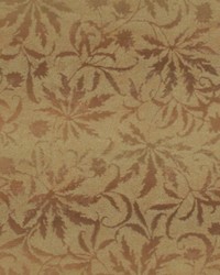 Champagne Brunch Chestnut by  RM Coco 