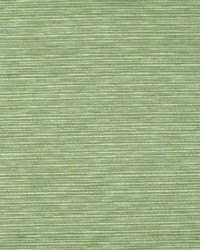 Karaoke Kiwi by  RM Coco 