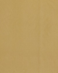 Quiet Time Light Gold by   