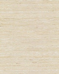 Entrepreneur Bone by  RM Coco 