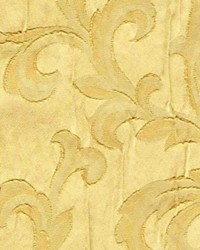 Amusement Vestige by   