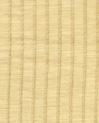 Mini Stripe Champagne by   