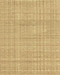 SINCLAIR STRIPE Gold by   