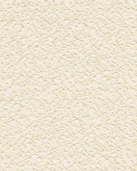 Common Sense Champagne by  RM Coco 