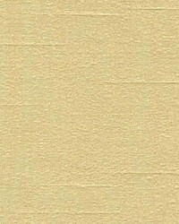 Ace In The Hole Latte by   