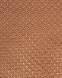 Quilting Bee Butternut by   