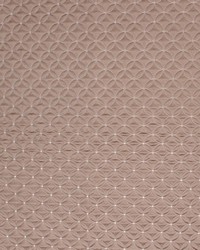 Quilting Bee Platinum by   