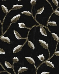 At My Best Black by  RM Coco 