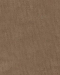 Radar Love Havana by  RM Coco 