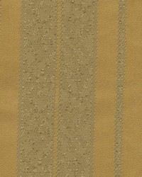 Apprentice Golden by   