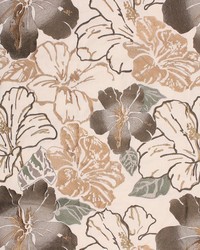 Floral Splendor Cafe Au Lait by   