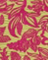 Street Magic Lemon Chiffon by   