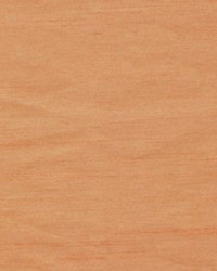 Stage Presence Macciato by  Stout Wallpaper 