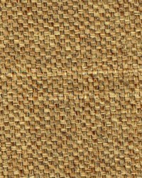 Nest Egg Biscotti by   