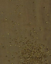 Galaxy New Bronze by   