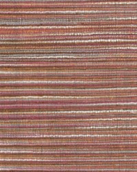 Random Act Fiesta by   