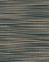 Trail Blazer Black by   