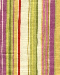 Narayan Orchid by  RM Coco 