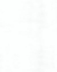 High Hopes Optical White by   