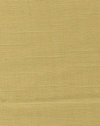 Foundation Sprout by   