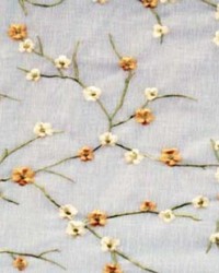 Bloomfield Champagne by   