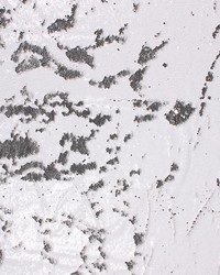 All That Glitters Frost by  RM Coco 