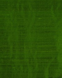 Rm Dupioni Parrot by   