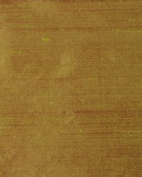 Rm Dupioni Keylime by   