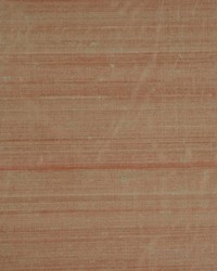 Rm Dupioni Champagne Beige by   