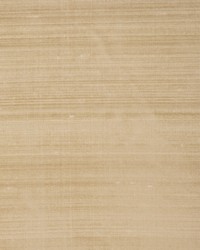 Rm Dupioni Beige by   