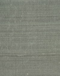 Rm Dupioni Shannon by   