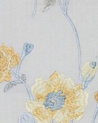 Guided Tour Canary by  RM Coco 